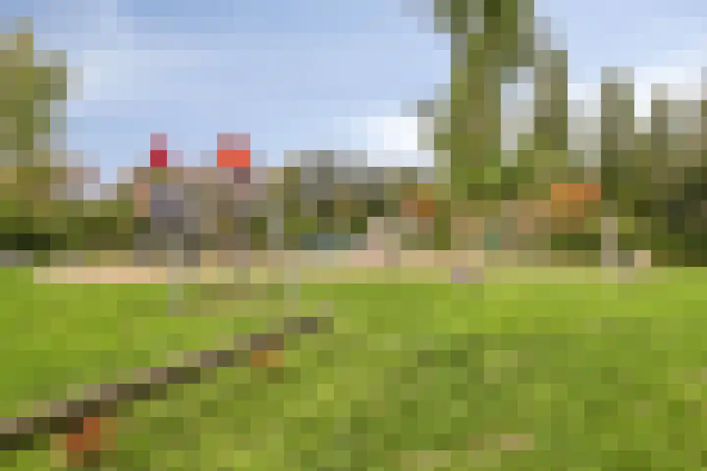 Bezemerland 12 Nieuwaal thumbnail 48