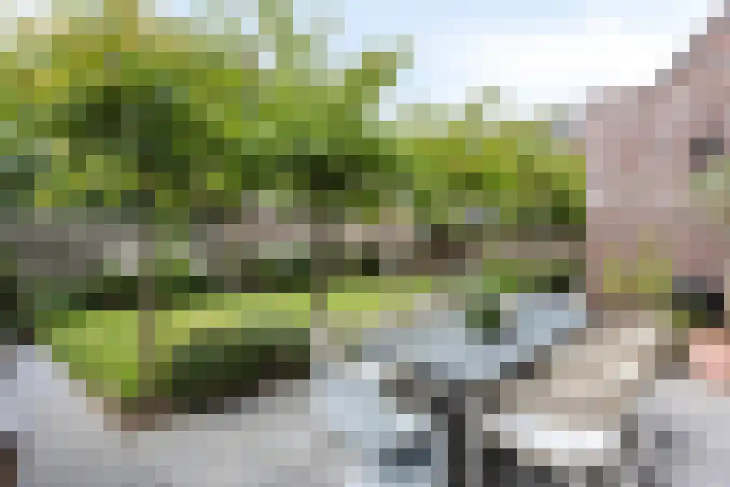 Bezemerland 9 Nieuwaal thumbnail 10