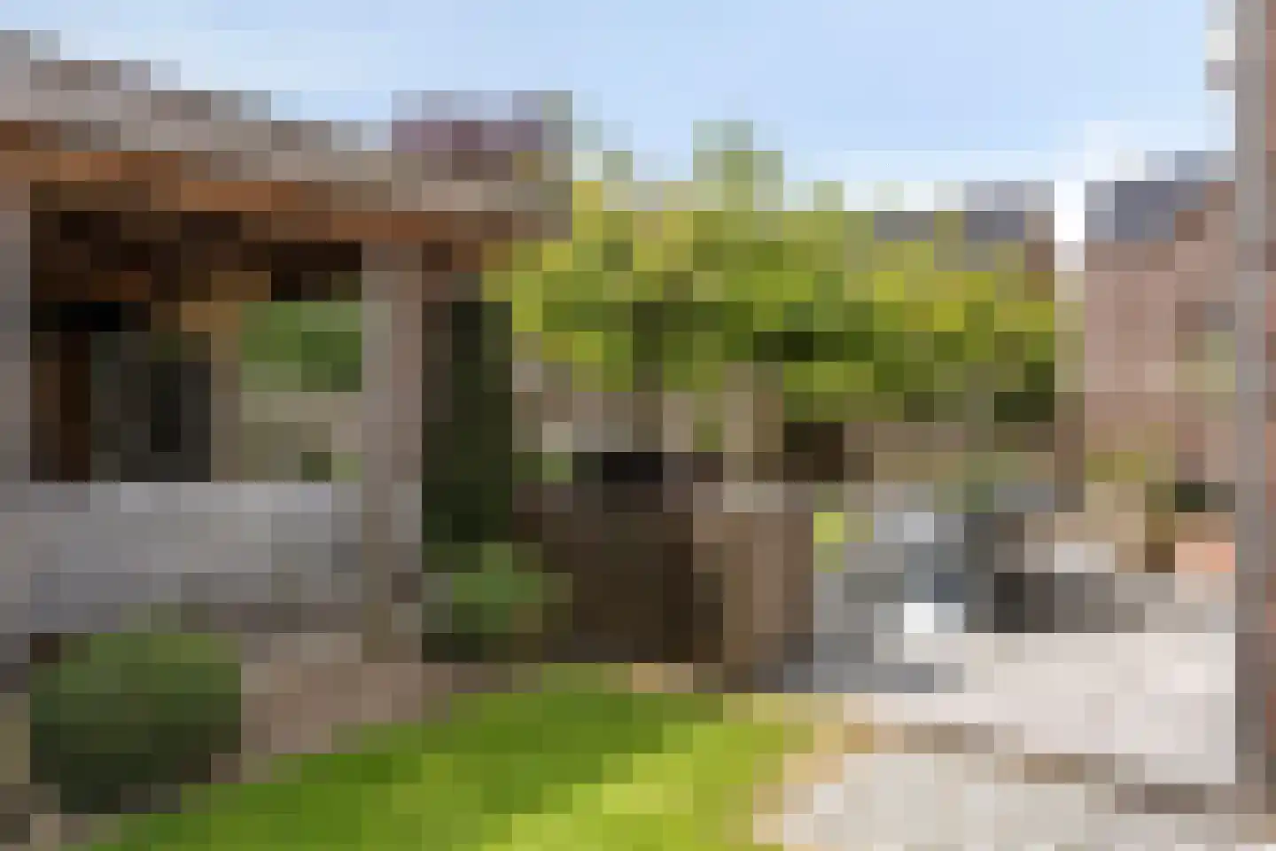 Bezemerland 9 Nieuwaal thumbnail 12