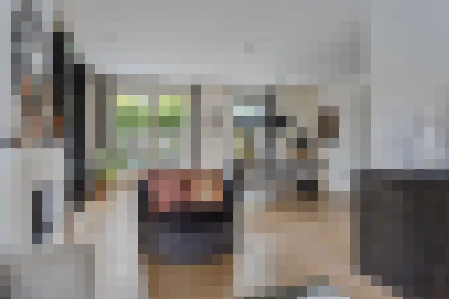 Bezemerland 9 Nieuwaal thumbnail 18