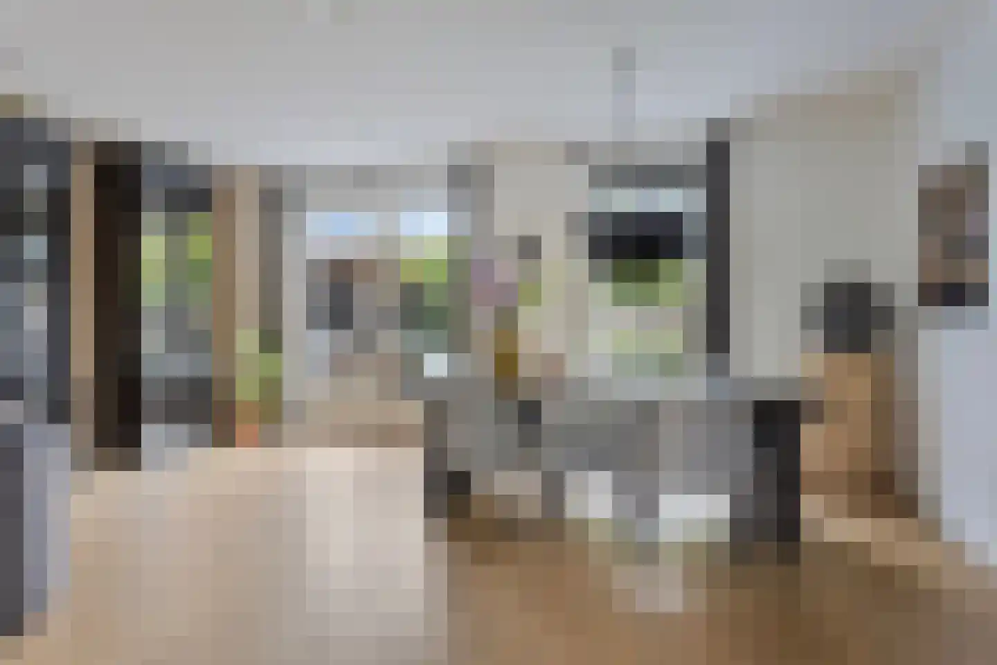 Bezemerland 9 Nieuwaal thumbnail 20