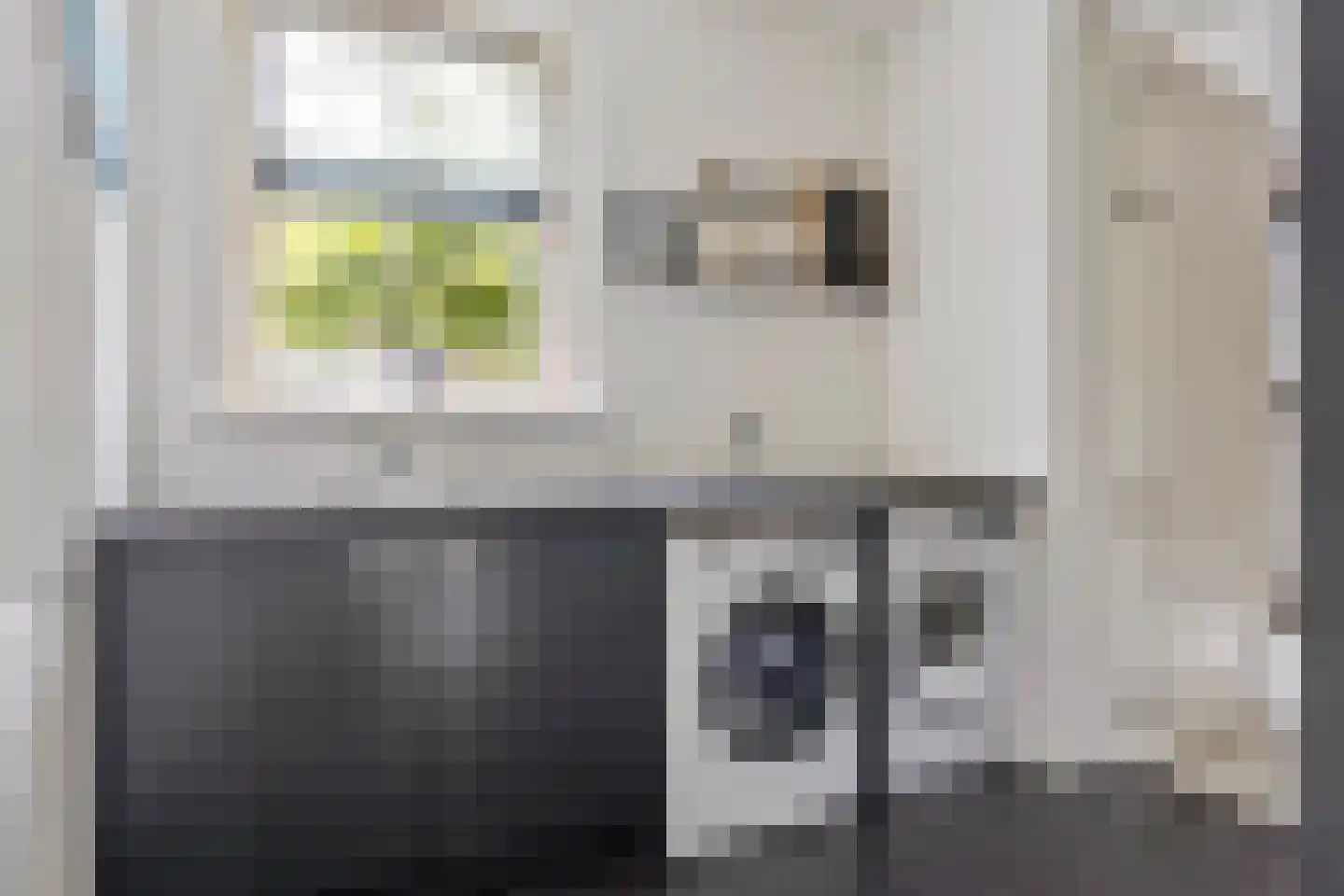 Bezemerland 9 Nieuwaal thumbnail 32