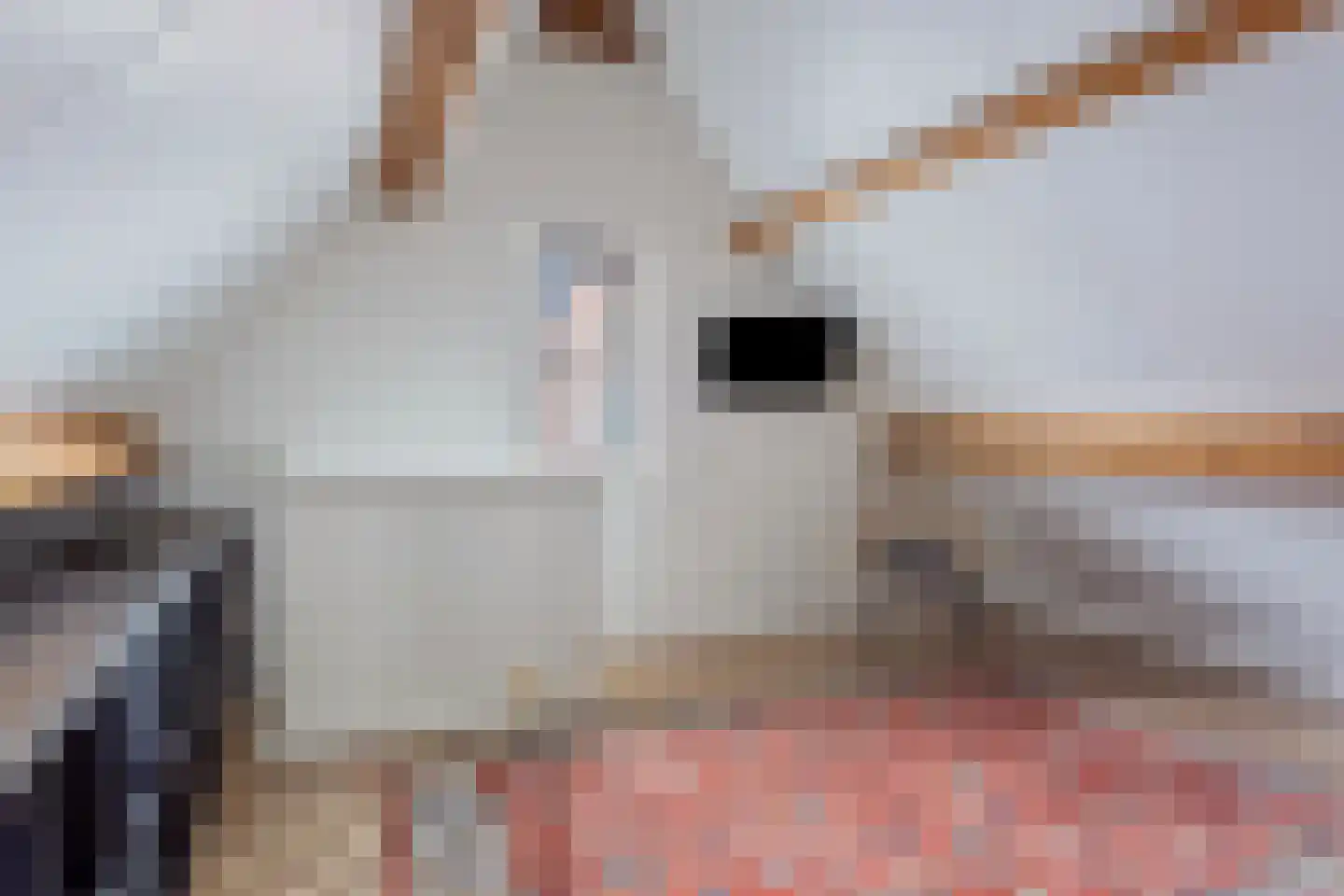 Bezemerland 9 Nieuwaal thumbnail 35