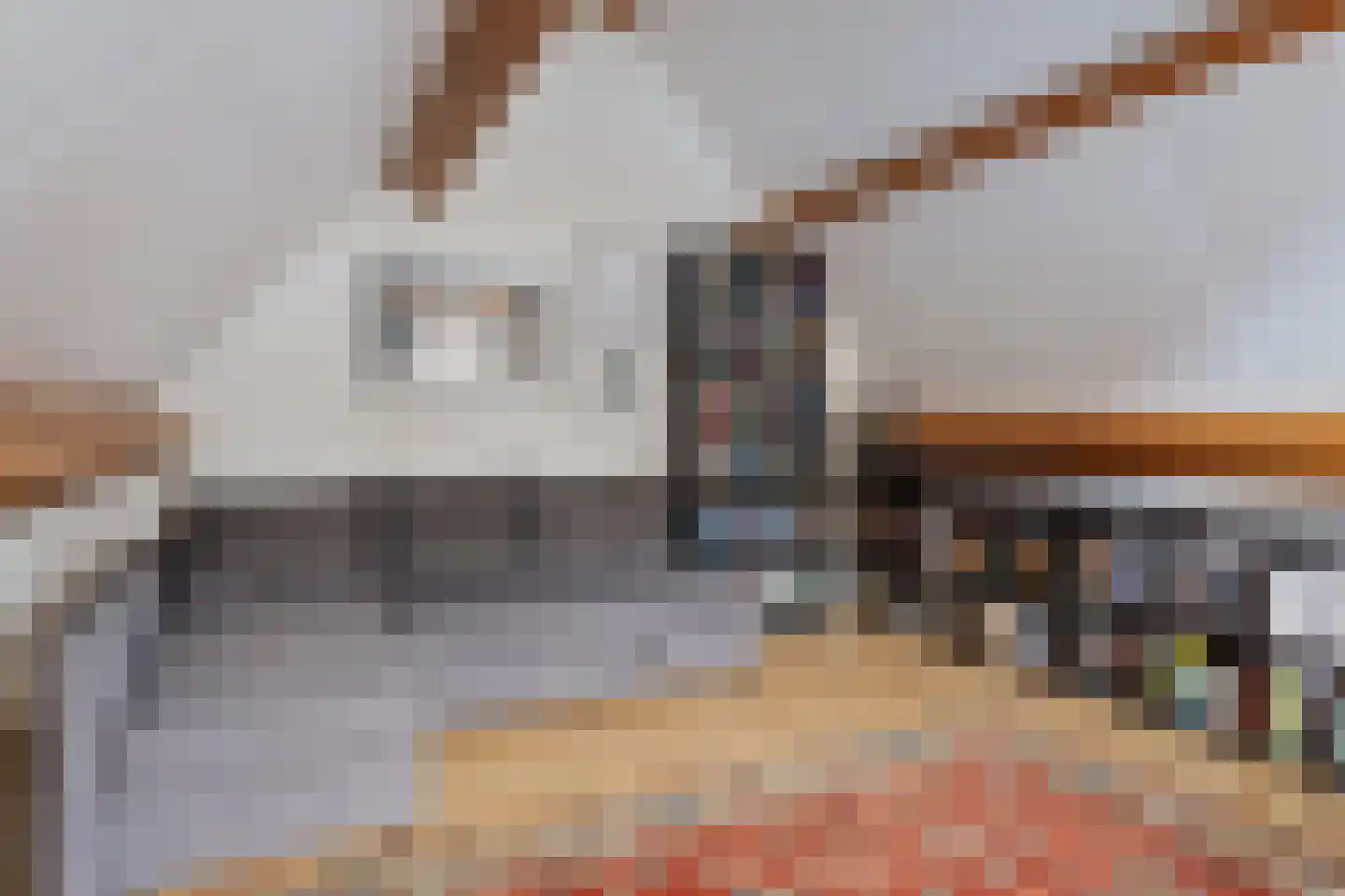 Bezemerland 9 Nieuwaal thumbnail 36