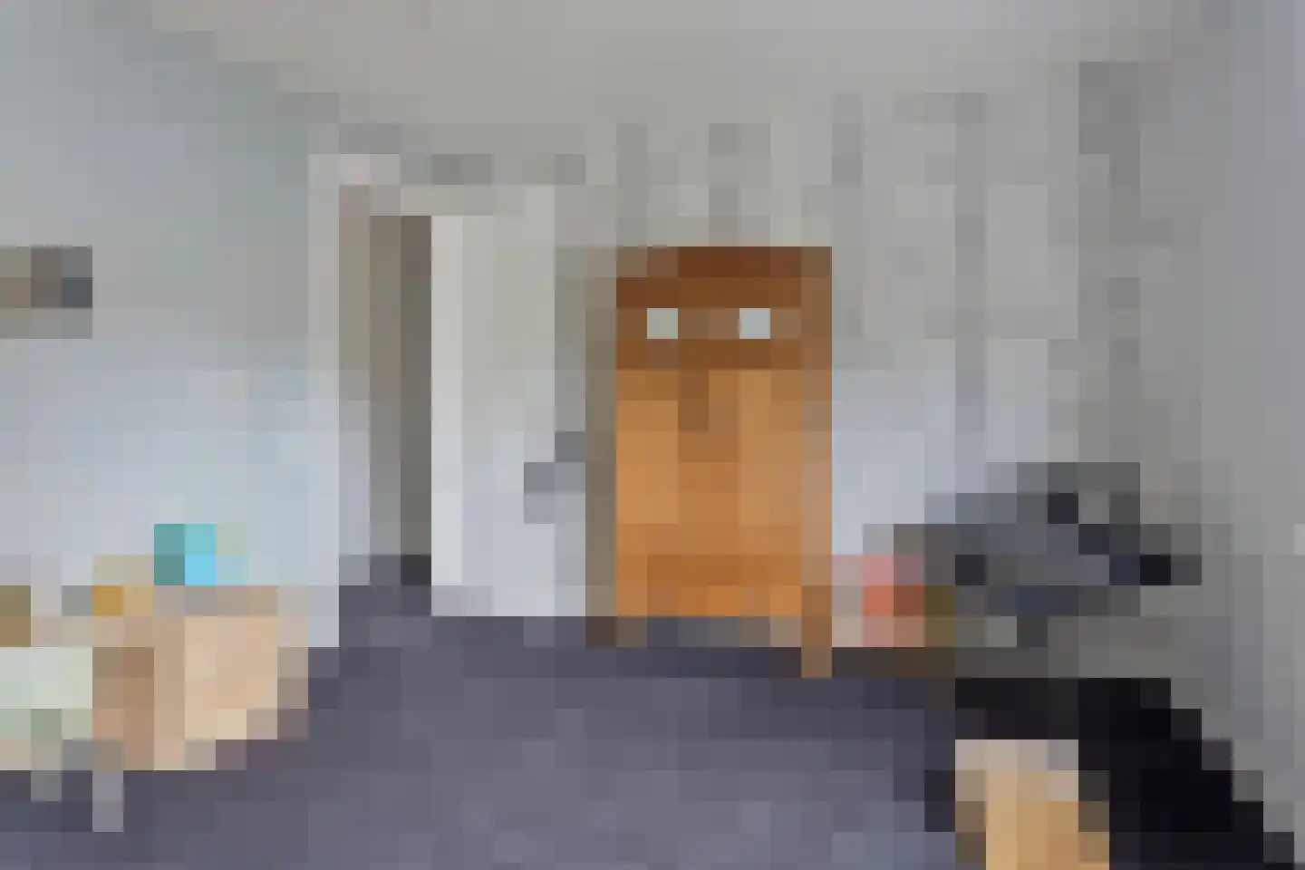 Bezemerland 9 Nieuwaal thumbnail 43