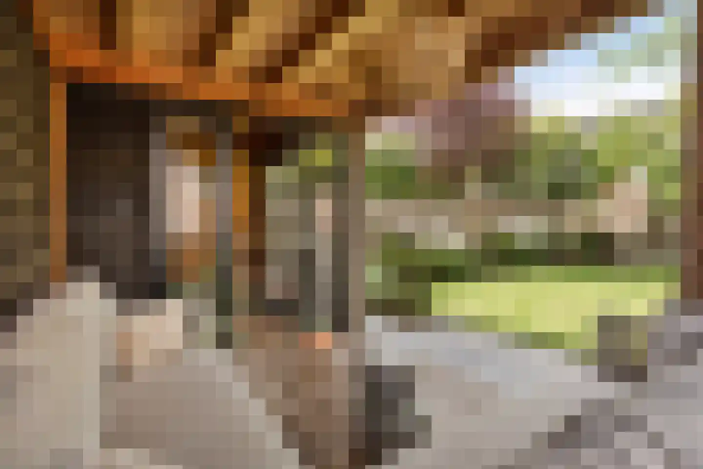 Bezemerland 9 Nieuwaal thumbnail 54