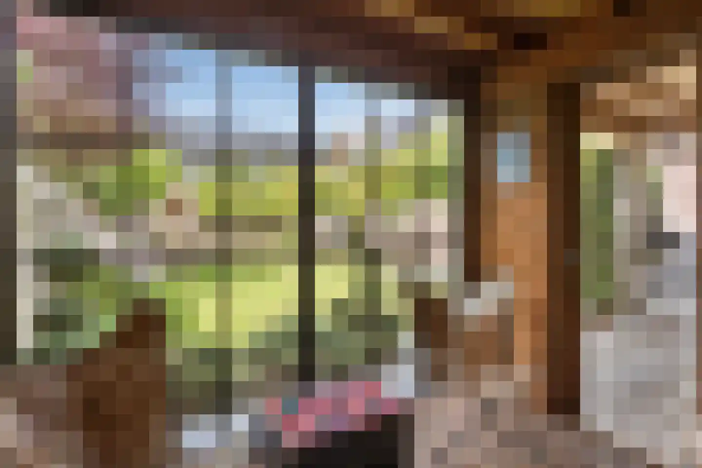 Bezemerland 9 Nieuwaal thumbnail 57