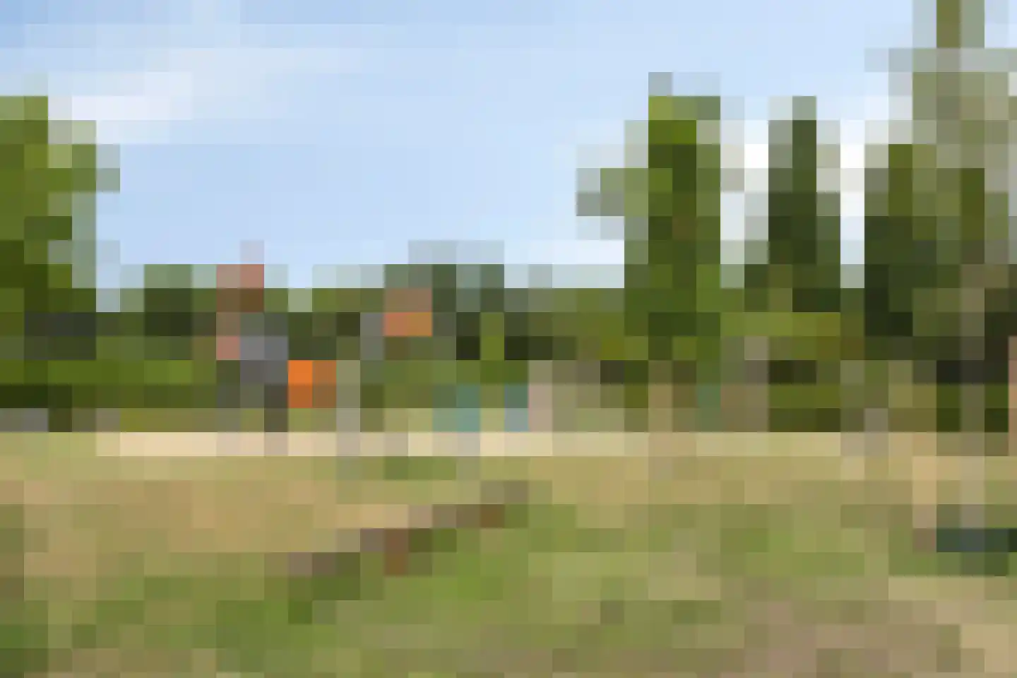 Bezemerland 9 Nieuwaal thumbnail 58