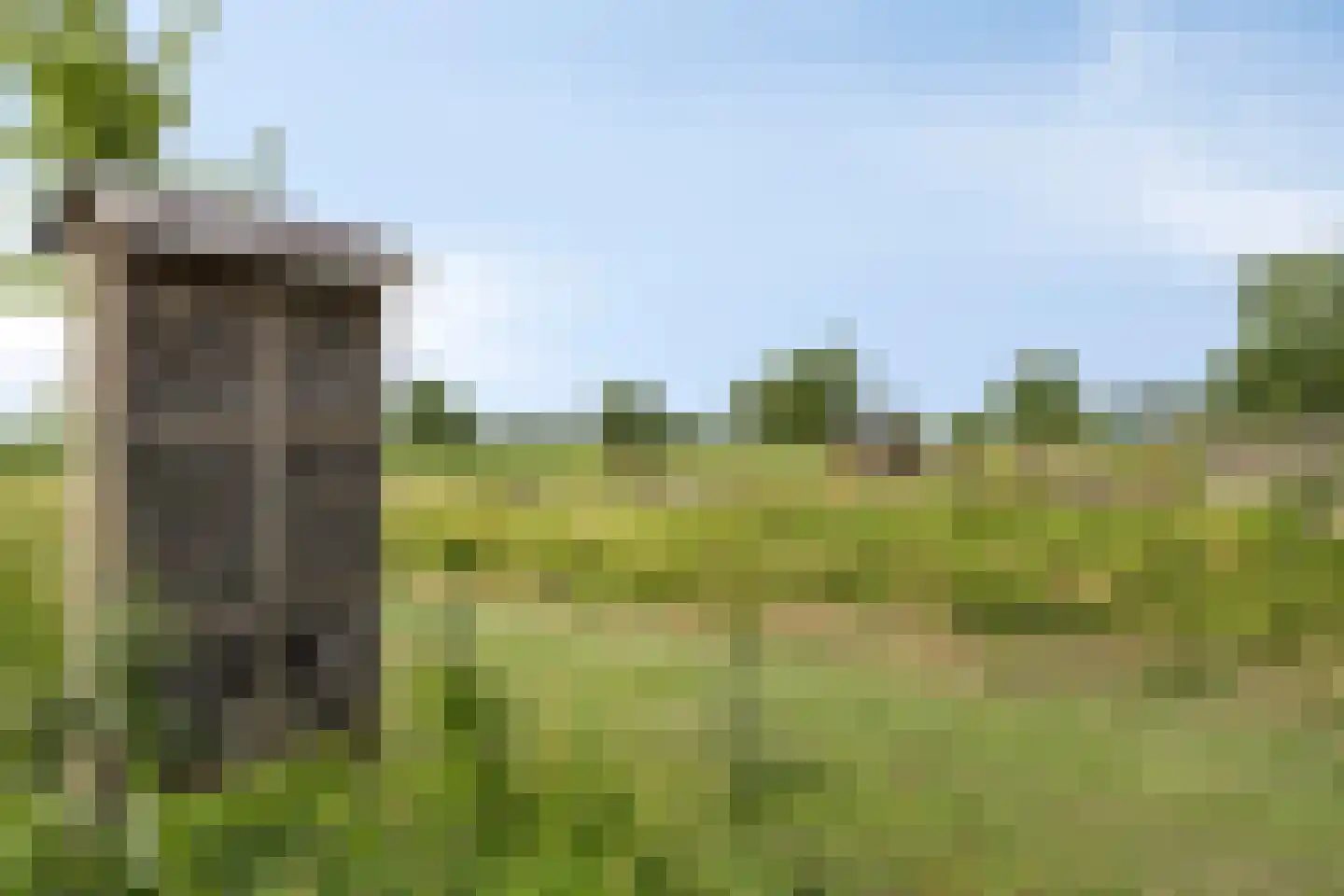 Bezemerland 9 Nieuwaal thumbnail 59
