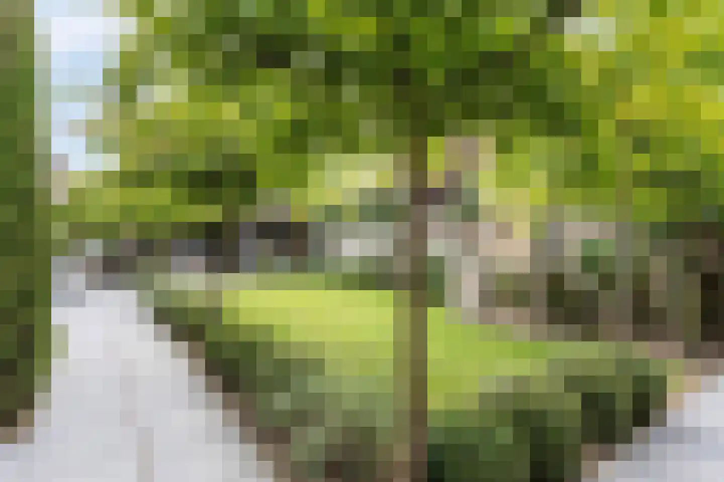 Bezemerland 9 Nieuwaal thumbnail 7