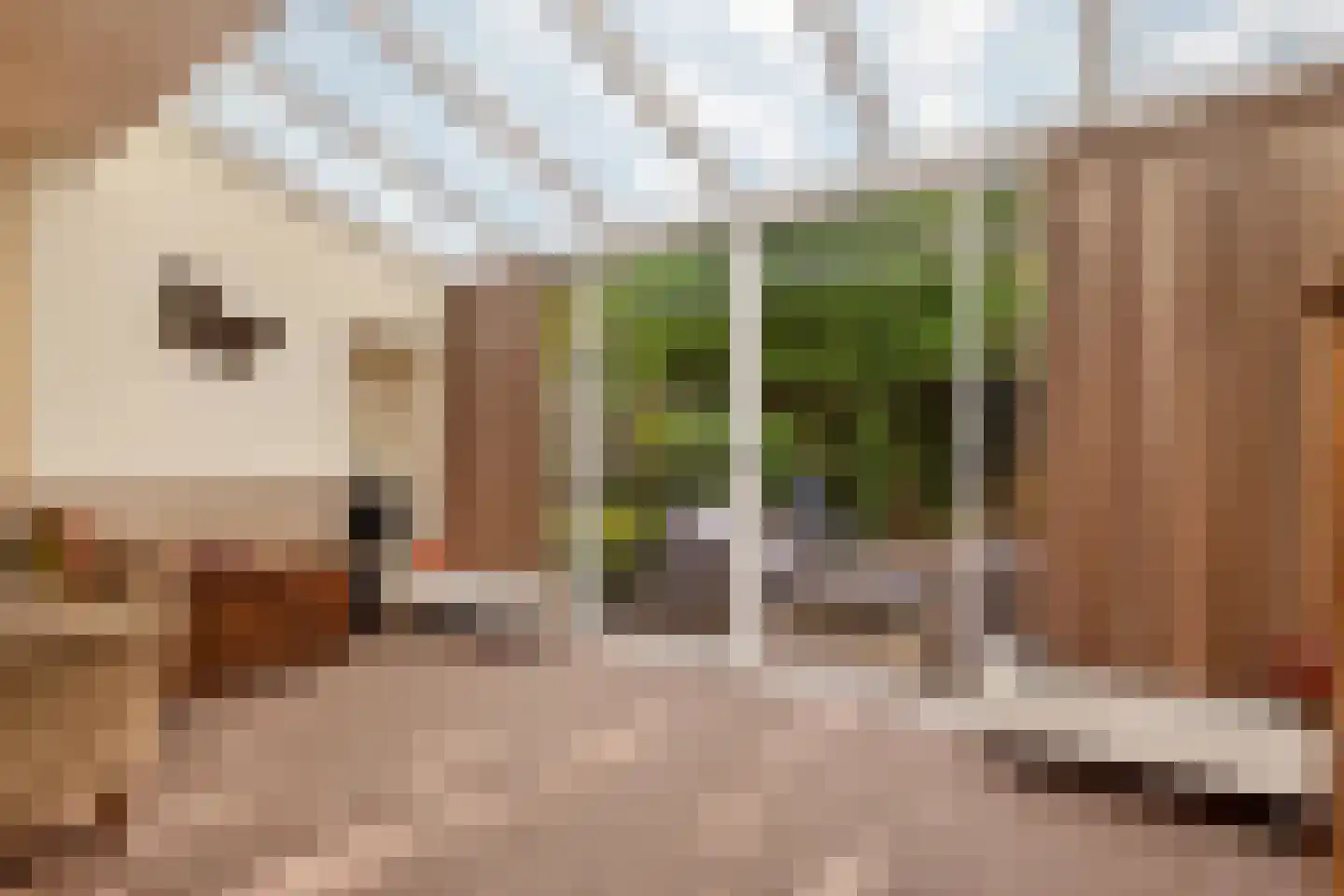 Bezettingslaan 16 Meppel thumbnail 11