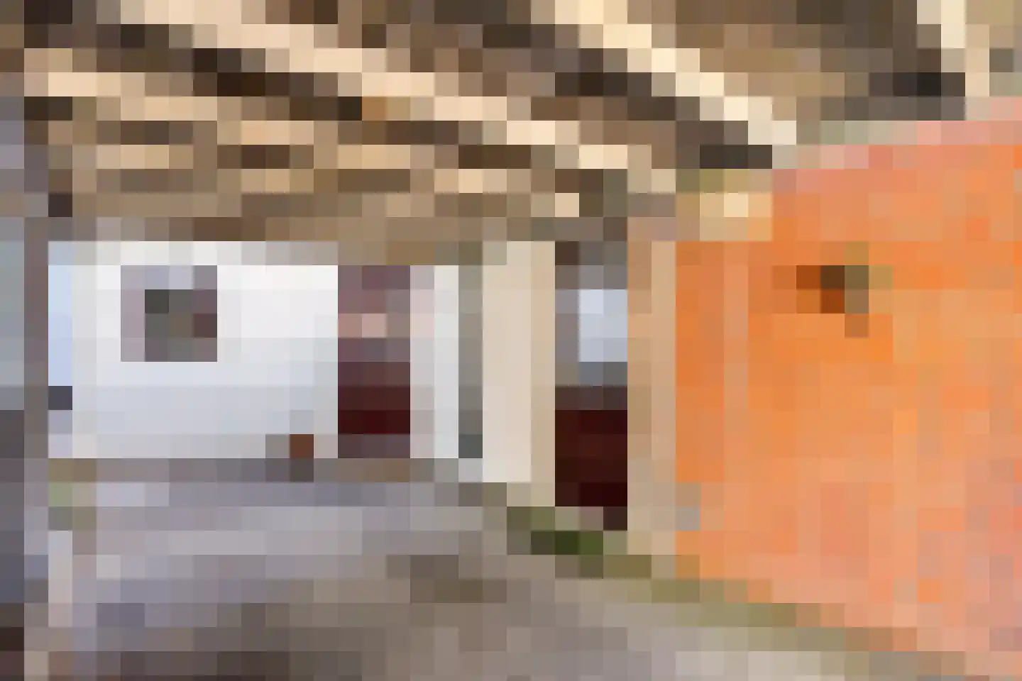 Bezettingslaan 16 Meppel thumbnail 39