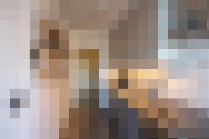 Bezettingslaan 19 Groningen thumbnail 11