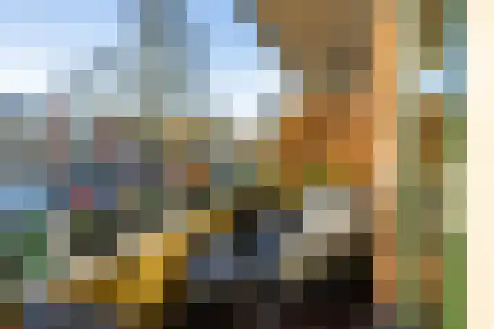 Bezettingslaan 19 Groningen thumbnail 20