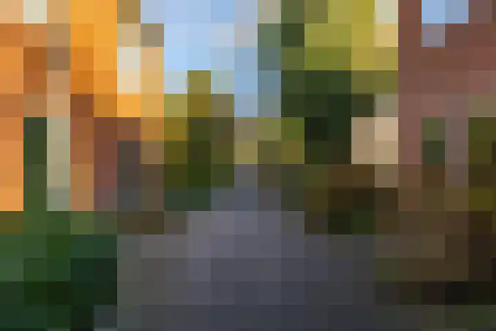 Bezettingslaan 19 Groningen thumbnail 27