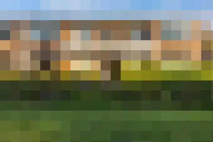 Bezettingslaan 19 Groningen thumbnail 4