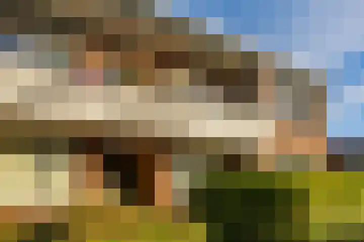 Bezettingslaan 19 Groningen thumbnail 6