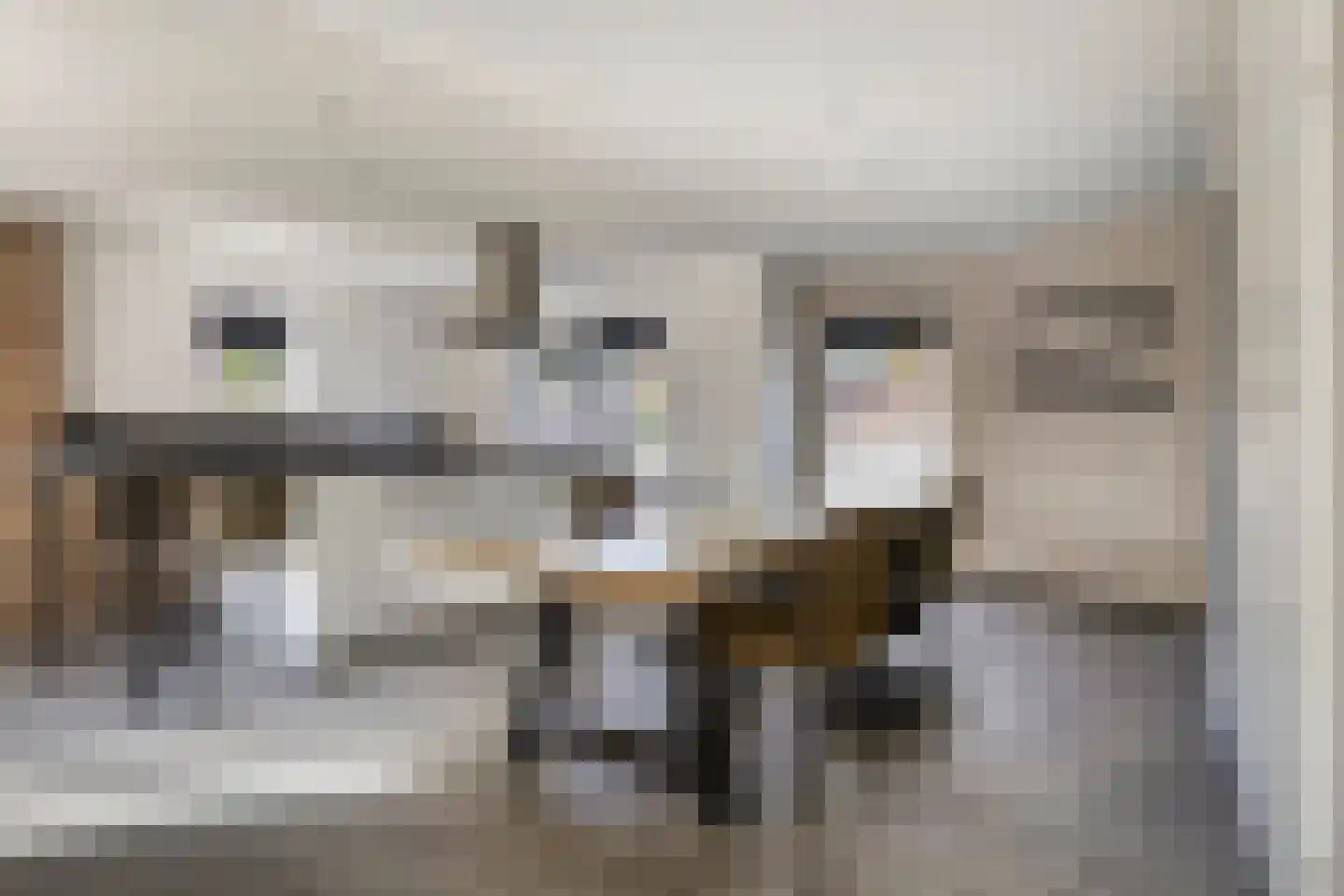 Bezettingslaan 2 Meppel thumbnail 17