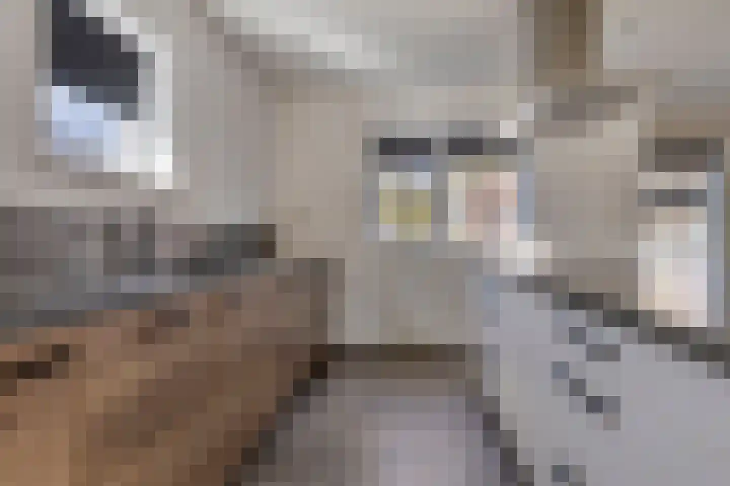 Bezettingslaan 2 Meppel thumbnail 21