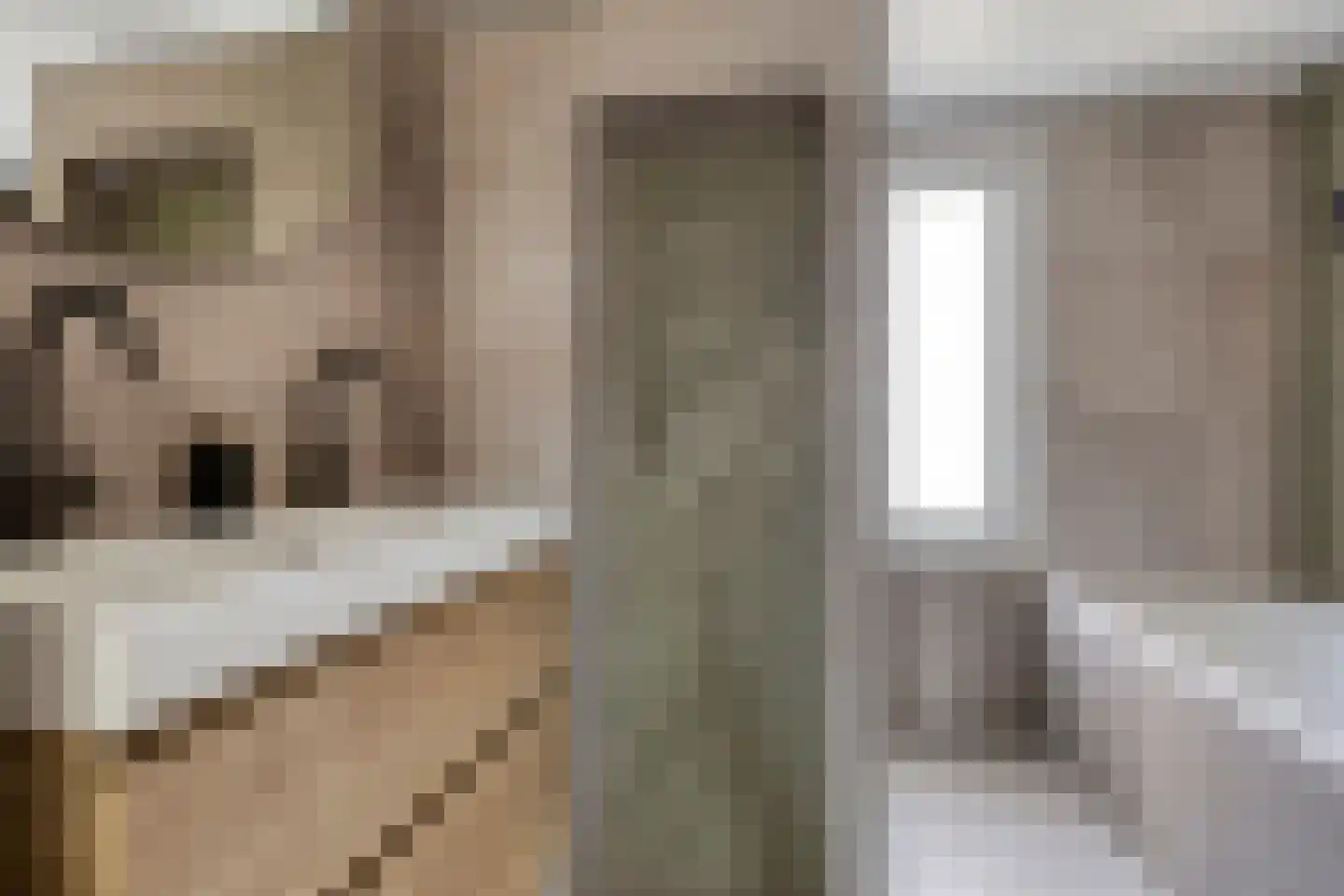 Bezettingslaan 2 Meppel thumbnail 28