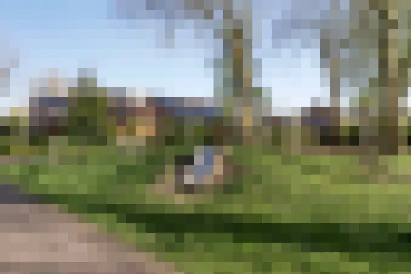 Bezettingslaan 2 Meppel thumbnail 46
