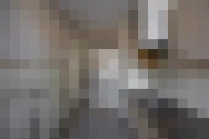 Bezettingslaan 26 Groningen thumbnail 13