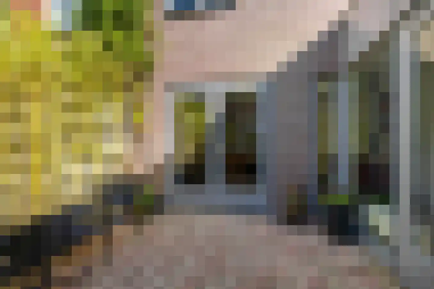 Bezettingslaan 31 Groningen thumbnail 18