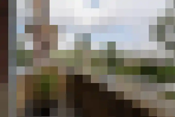 Bezettingslaan 44 Groningen thumbnail 38