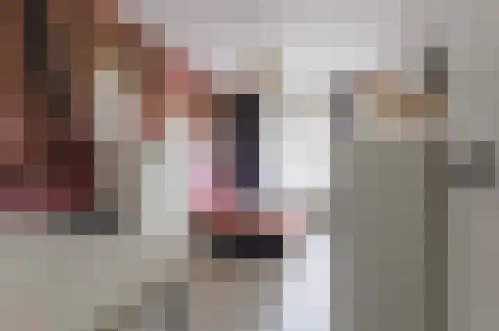 Bezettingslaan 44 Groningen thumbnail 49