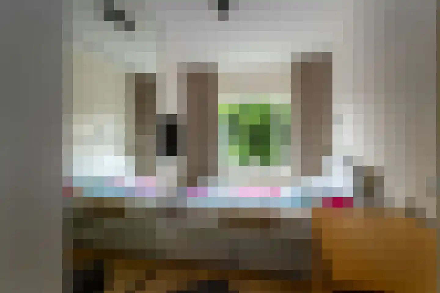Bezettingslaan 8 Groningen thumbnail 17