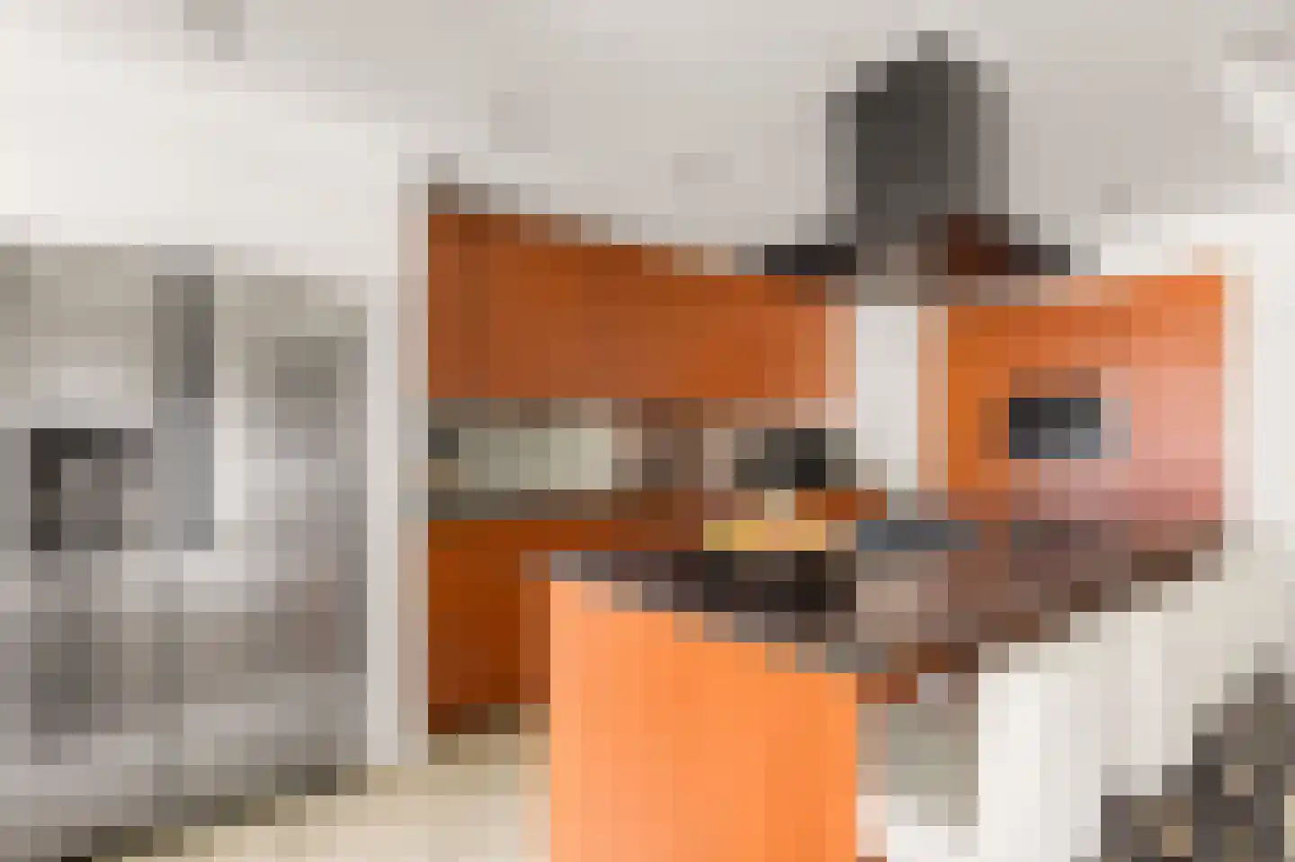 Béziershof 12 Eindhoven thumbnail 14