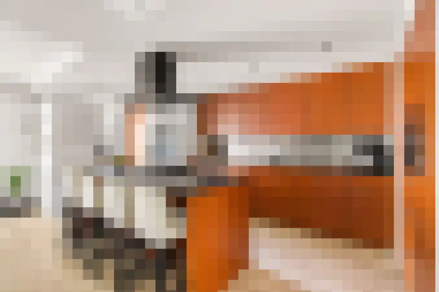 Béziershof 12 Eindhoven thumbnail 15