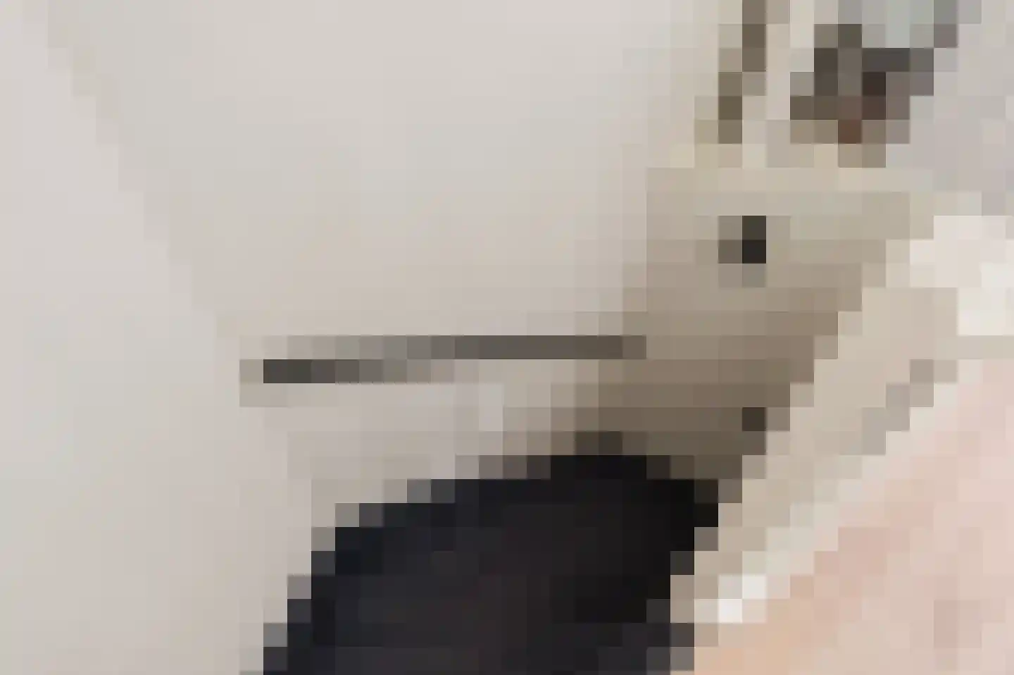 Béziershof 12 Eindhoven thumbnail 38