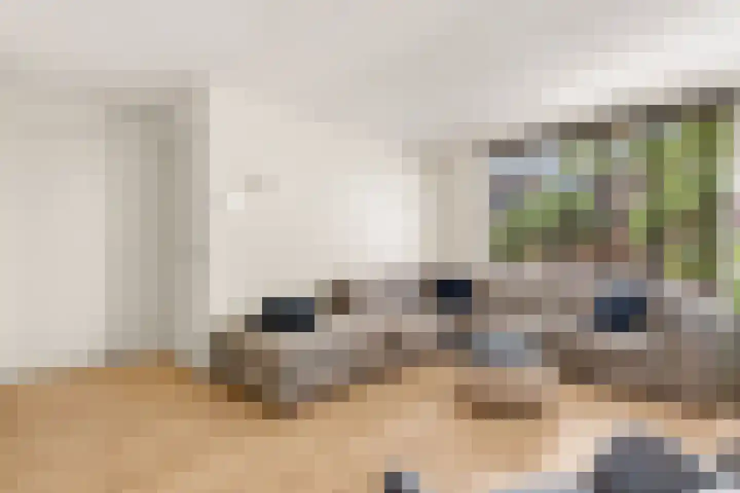 Béziershof 12 Eindhoven thumbnail 9