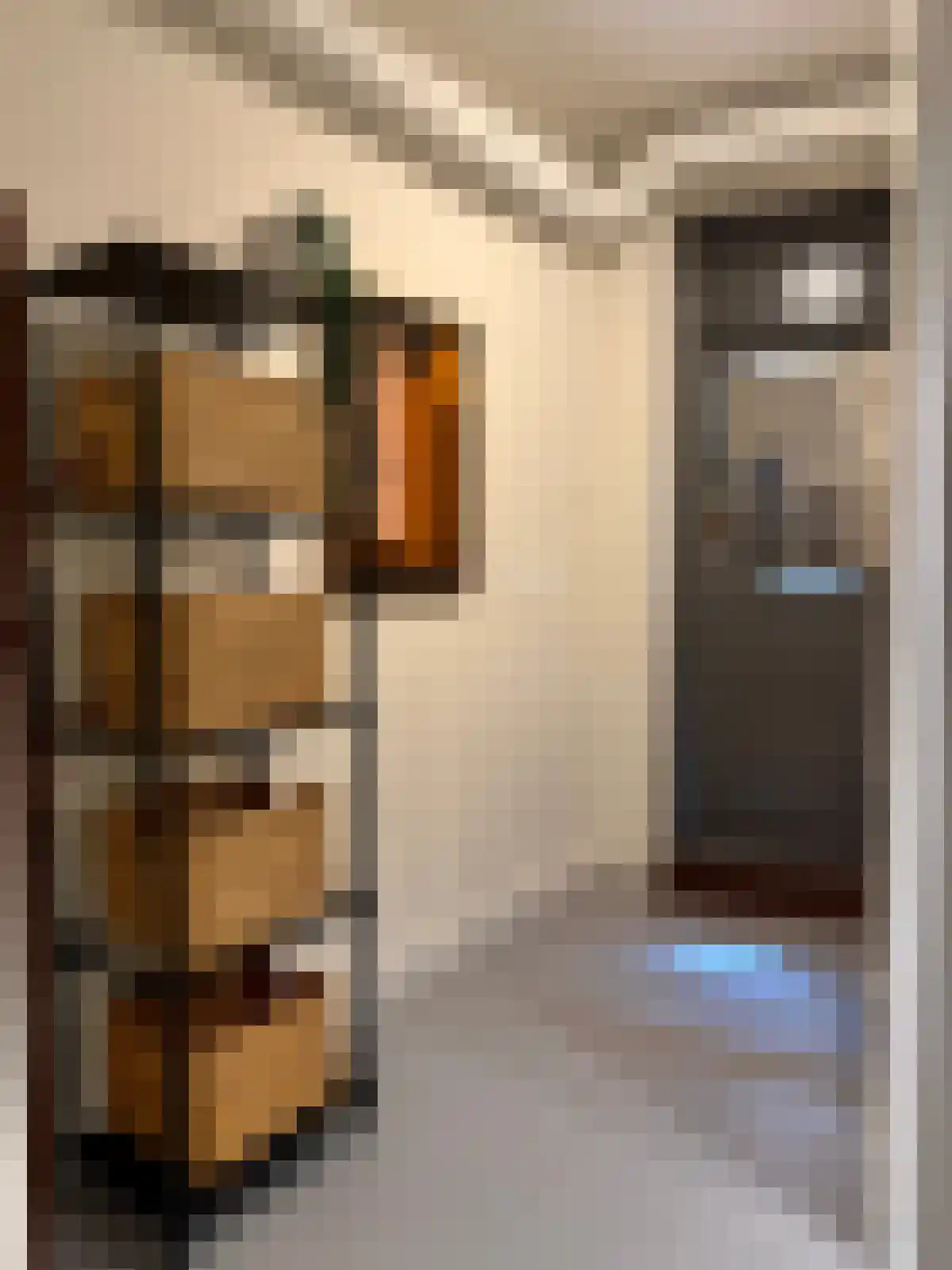 Bezorgershof 24 Geldrop thumbnail 6