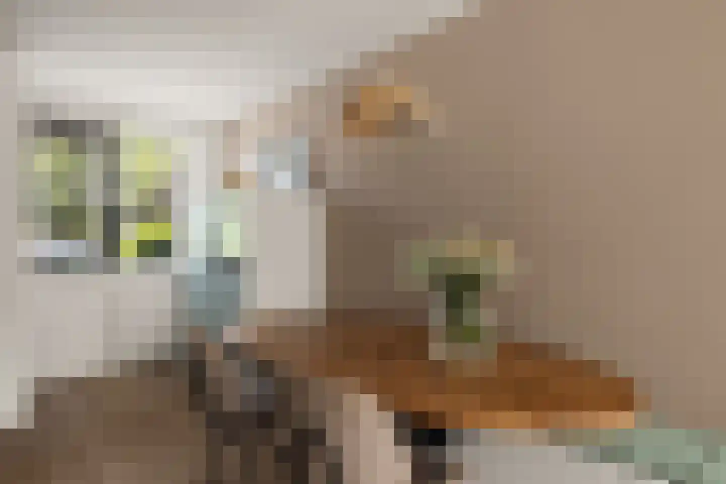 Bezuidenhout 20 Amersfoort thumbnail 18