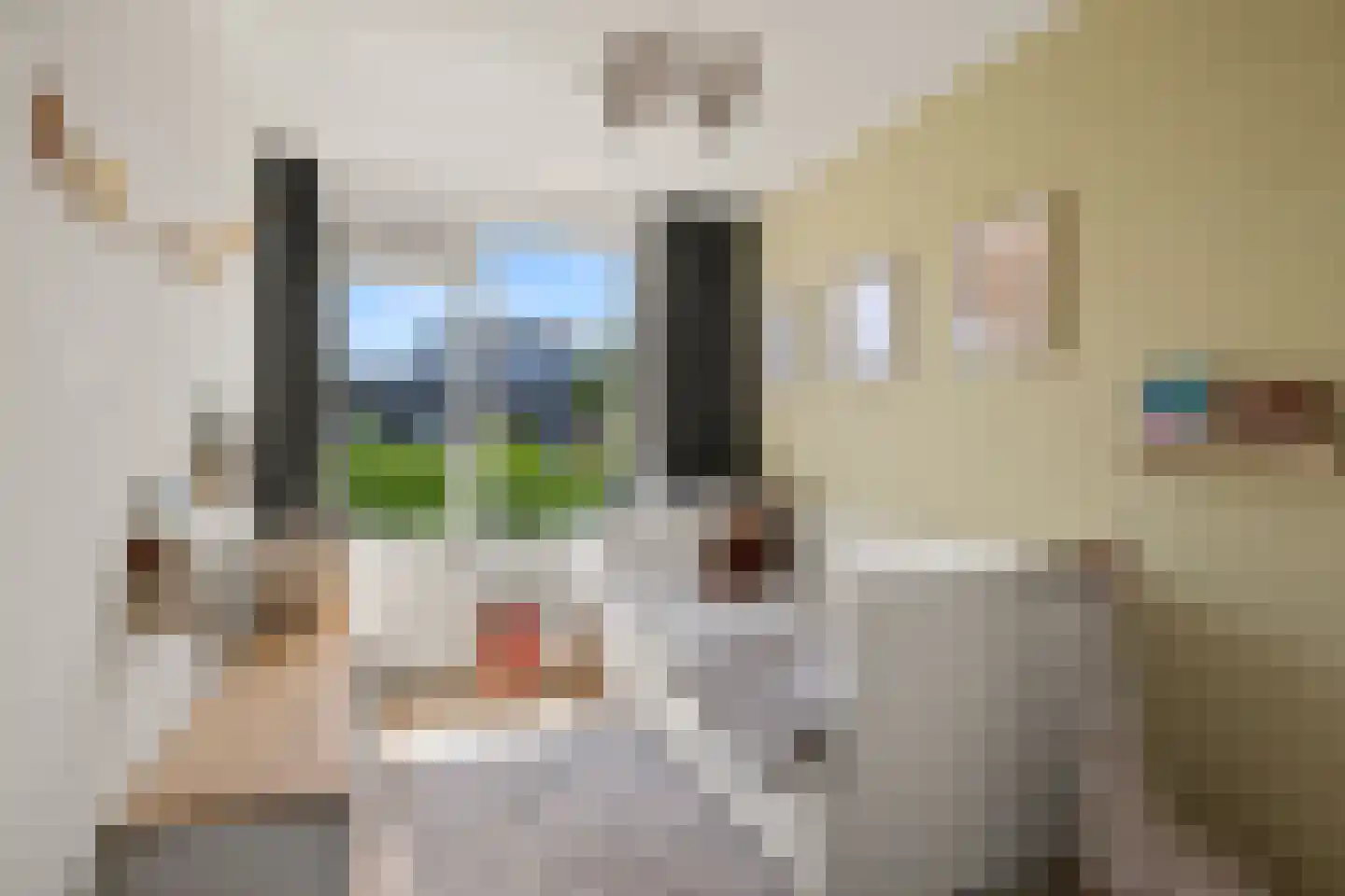 Bezuidenhout 20 Amersfoort thumbnail 33