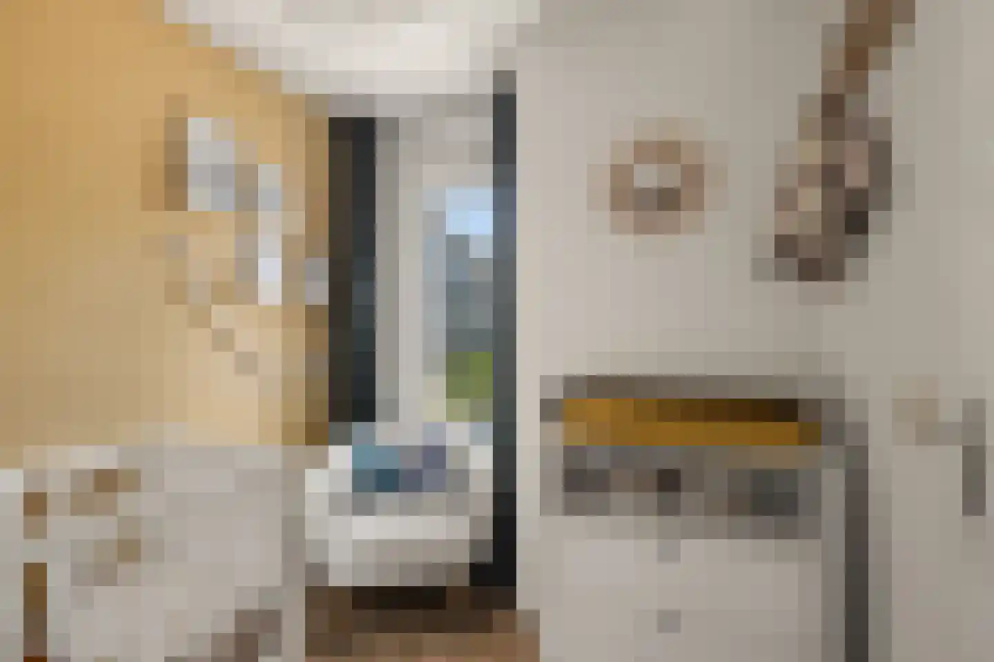 Bezuidenhout 20 Amersfoort thumbnail 36