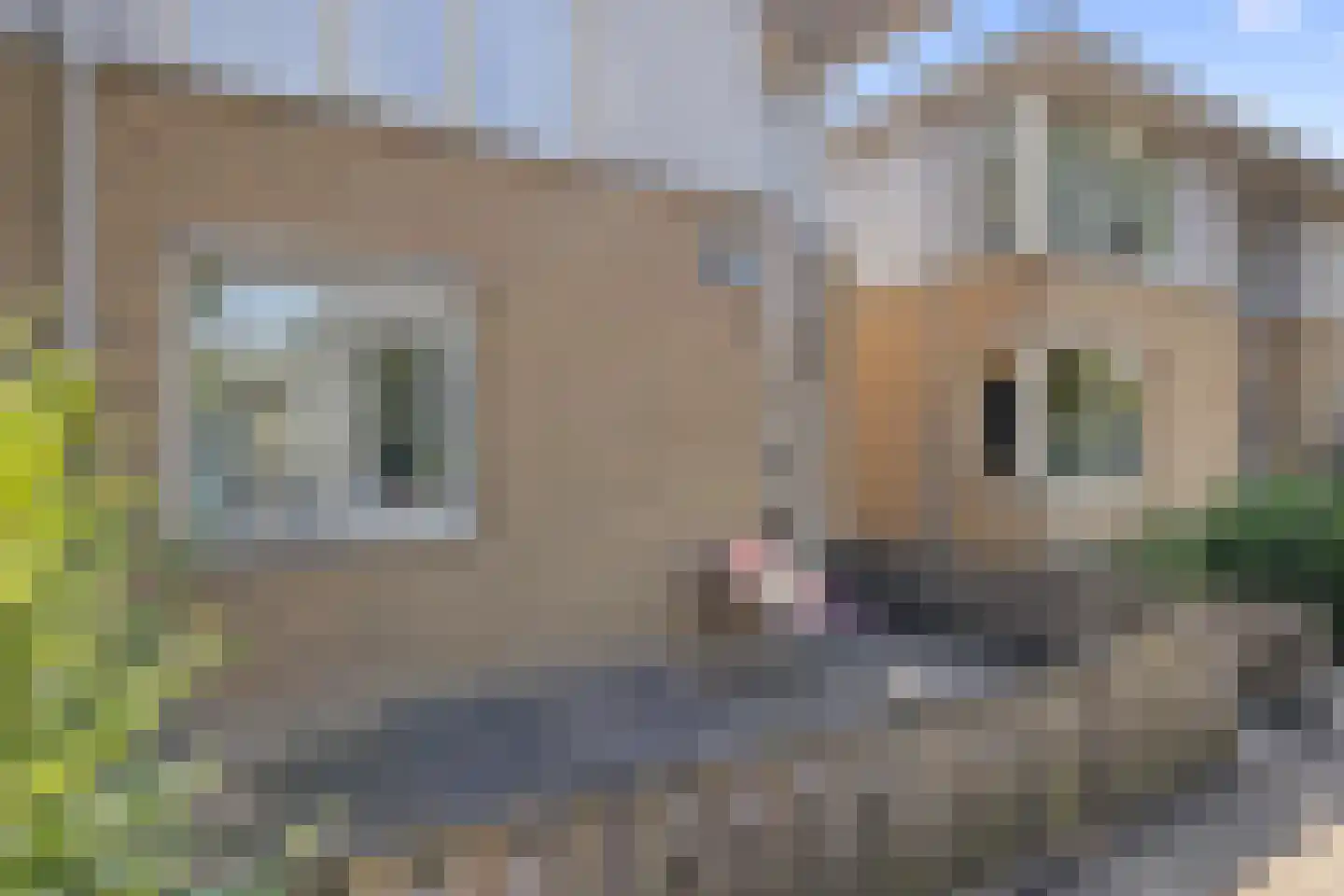 Bezuidenhout 20 Amersfoort thumbnail 49