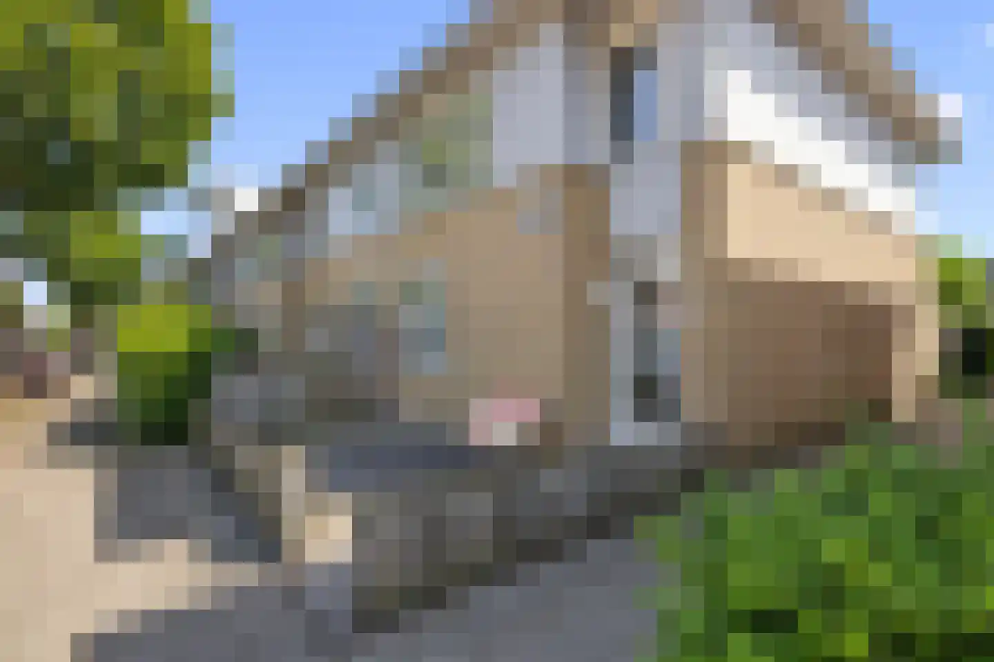 Bezuidenhout 20 Amersfoort thumbnail 7
