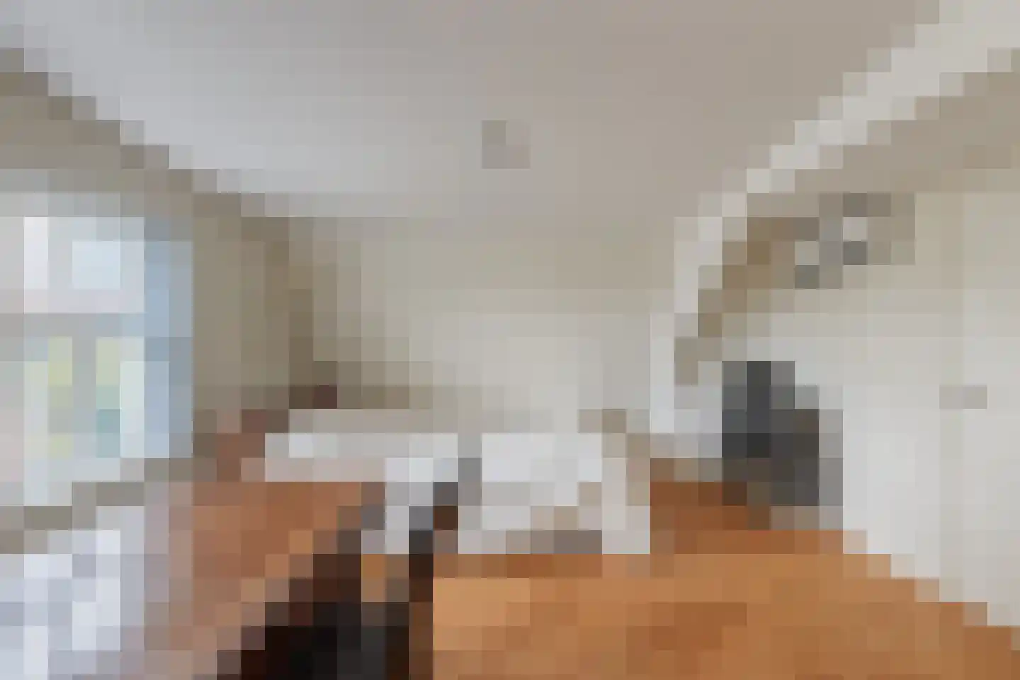 Bezuidenhoutseweg 123 Den Haag thumbnail 66