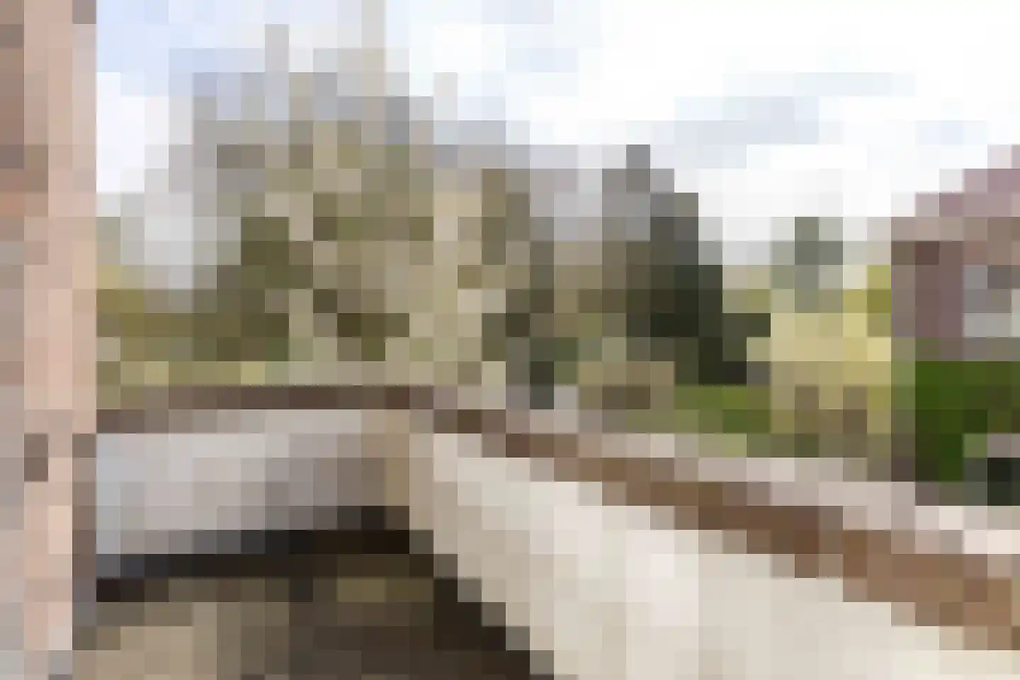 Bezuidenhoutseweg 480 Den Haag thumbnail 12