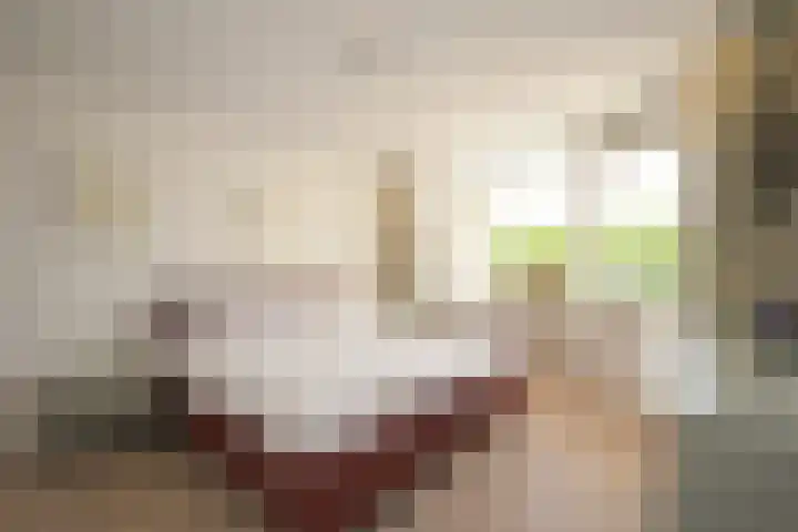 Bezuidenhoutseweg 80 L Den Haag thumbnail 13