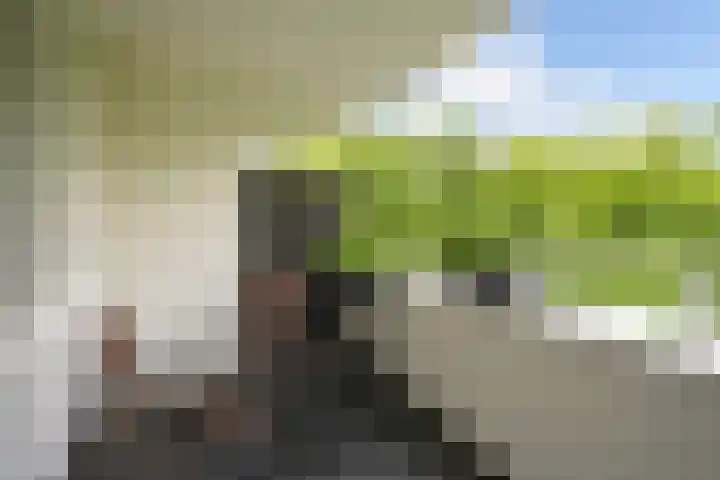 Bezuidenhoutseweg 80 L Den Haag thumbnail 41