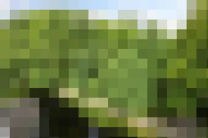 Bezuidenhoutseweg 80 L Den Haag thumbnail 42