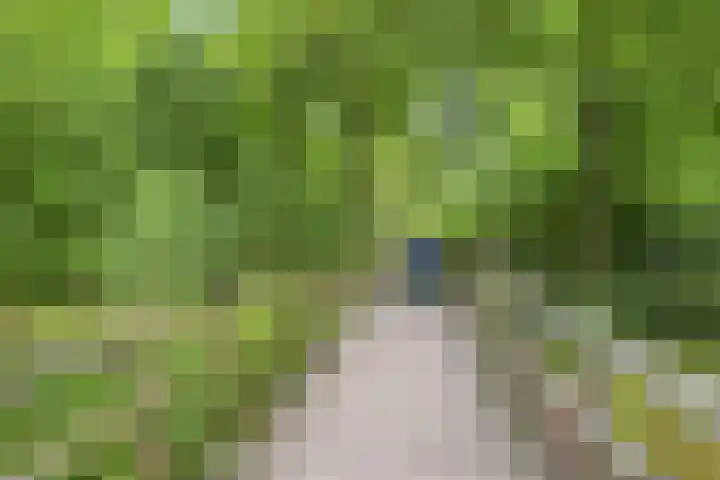 Bezuidenhoutseweg 80 L Den Haag thumbnail 43