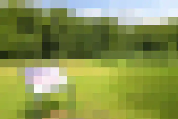 Bezuidenhoutseweg 80 L Den Haag thumbnail 47