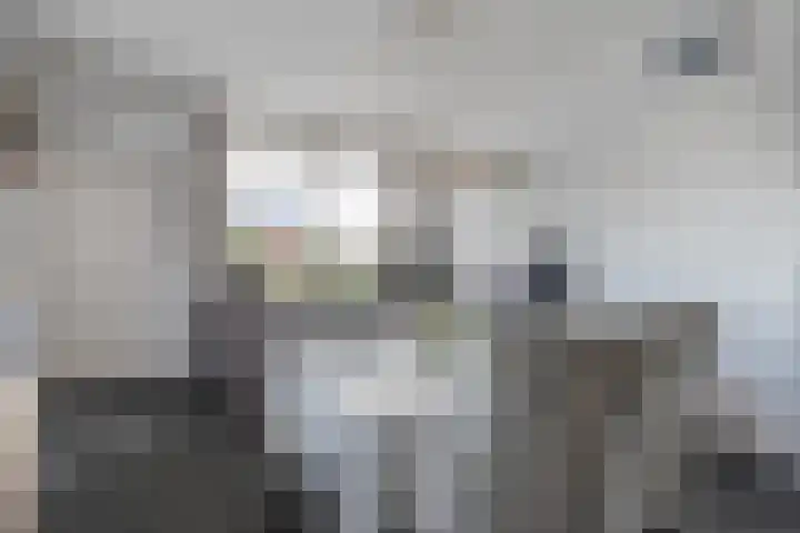 BH Spijkerweg 3 Punthorst thumbnail 13