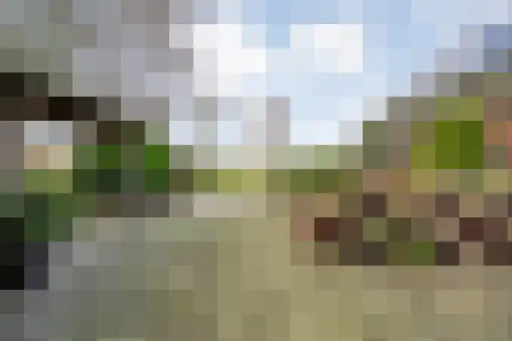 BH Spijkerweg 3 Punthorst thumbnail 35