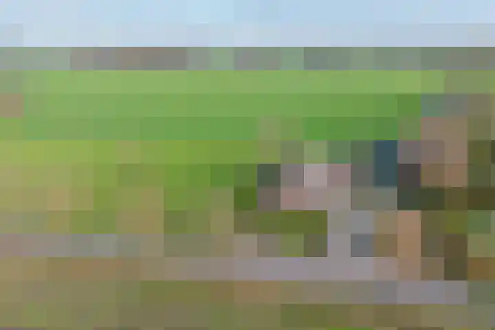 BH Spijkerweg 3 Punthorst thumbnail 4